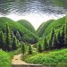 Mengenal Aquascape, Akuarium Hias
